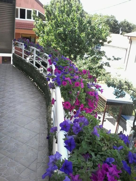 Апартаменты Apartman Maša Цетине-33