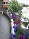 Апартаменты Apartman Maša Цетине-0