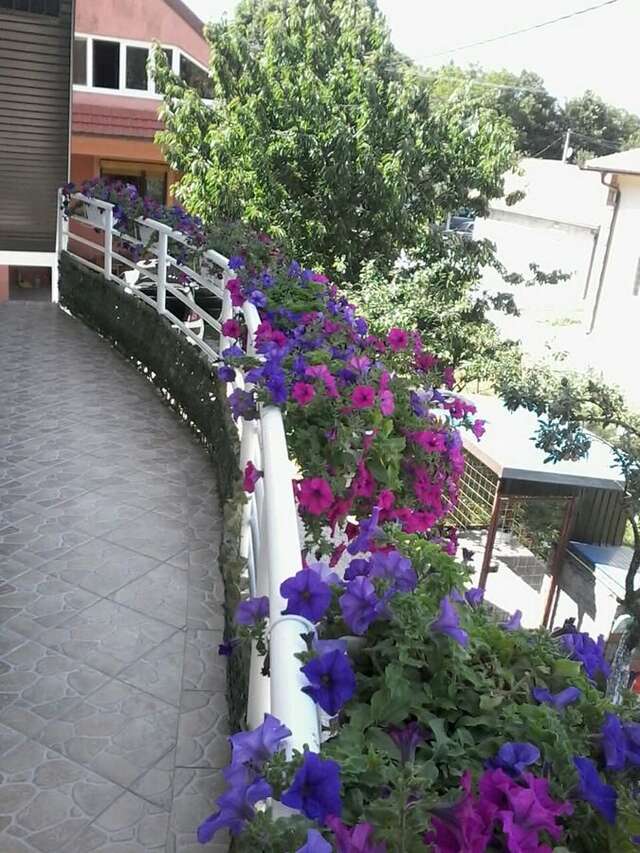 Апартаменты Apartman Maša Цетине-3